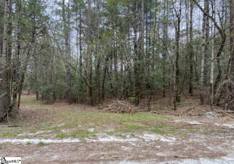 0 Lake Dr, Mountain Rest, SC 29664