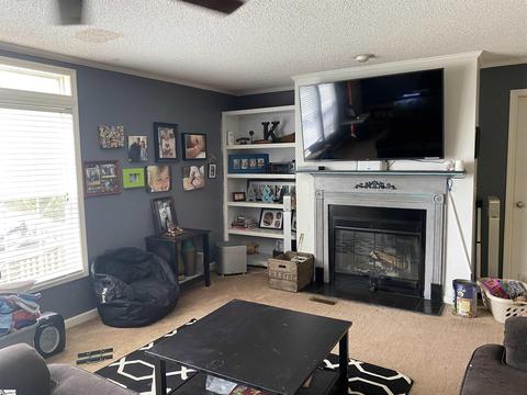 271 Pearson Rd, Greer, SC 29651 photo 4