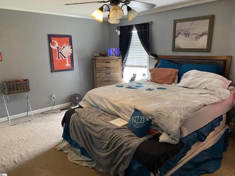 271 Pearson Rd, Greer, SC 29651 photo 6