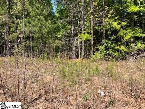 145 Chandler Rd, Pelzer, SC 29669 photo 1