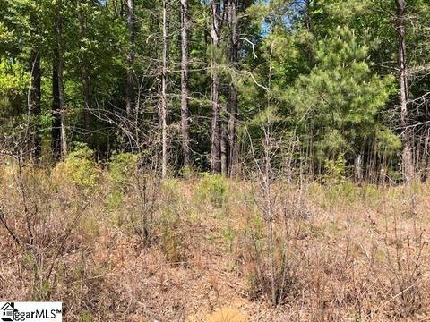 145 Chandler Rd, Pelzer, SC 29669 photo 2
