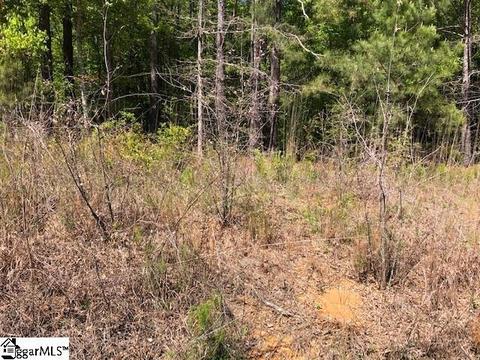 147 Chandler Rd, Pelzer, SC 29669 photo 1