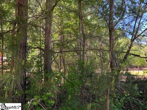 103 Katora Ln, Pelzer, SC 29669 photo 2