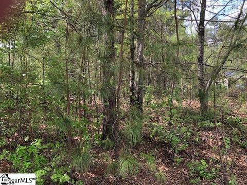 103 Katora Ln, Pelzer, SC 29669 photo 1