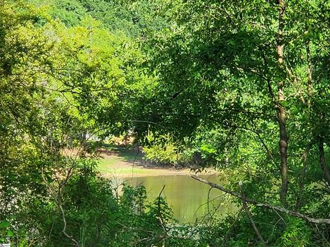 302 Bakerville Rd, Easley, SC 29642 photo 5