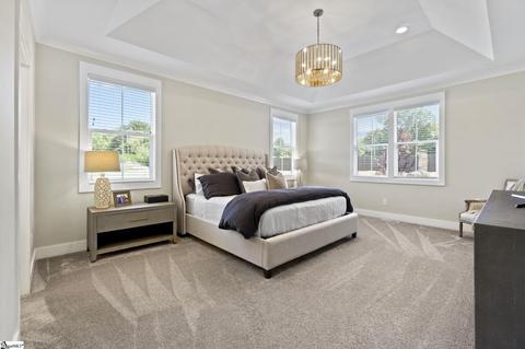 220 Upper View Ct, Greer, SC 29651 photo 9