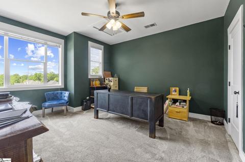 220 Upper View Ct, Greer, SC 29651 photo 22