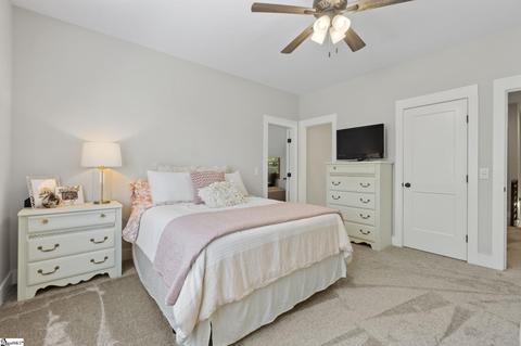 220 Upper View Ct, Greer, SC 29651 photo 24