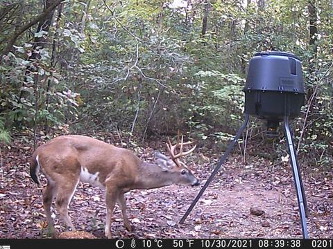 14873 Neely Ferry Rd, Waterloo, SC 29384 photo 32