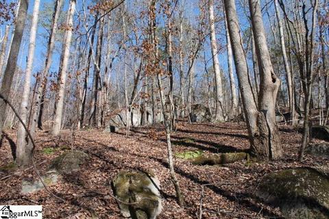 14873 Neely Ferry Rd, Waterloo, SC 29384 photo 28