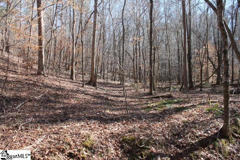 14873 Neely Ferry Rd, Waterloo, SC 29384 photo 29