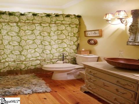 515 Birchbark Ct, Seneca, SC 29672 photo 17