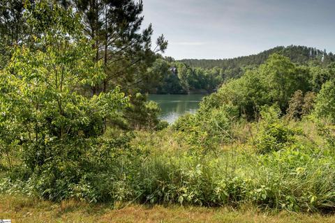 246 Long Ridge Rd, Sunset, SC 29685 photo 22