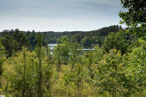 246 Long Ridge Rd, Sunset, SC 29685 photo 20