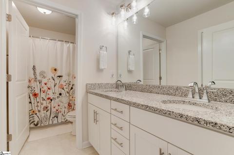 913 Deephallow Pl, Greer, SC 29651 photo 30