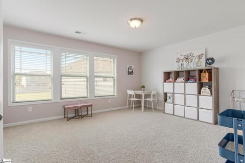 913 Deephallow Pl, Greer, SC 29651 photo 25