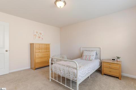 913 Deephallow Pl, Greer, SC 29651 photo 29