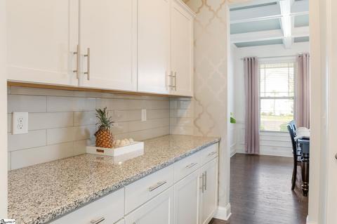 913 Deephallow Pl, Greer, SC 29651 photo 10