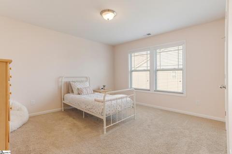 913 Deephallow Pl, Greer, SC 29651 photo 28