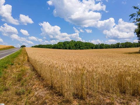 Undisclosed, Pendleton, SC 29670 photo 8