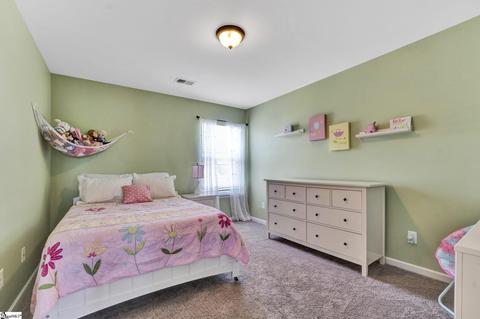 423 Basalt Ct, Easley, SC 29642 photo 22