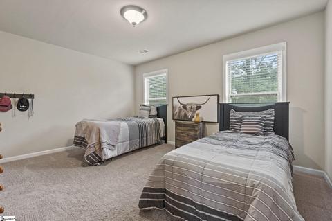 115 Willowbottom Dr, Greer, SC 29651 photo 19