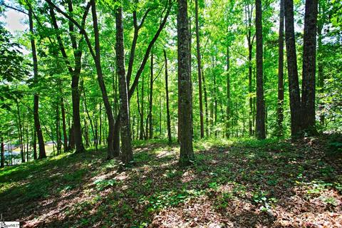 503 Wendover Ct, Seneca, SC 29672 photo 21