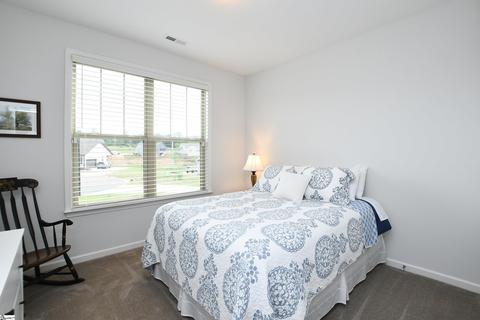 206 Spruce Creek Ct, Greer, SC 29651 photo 25