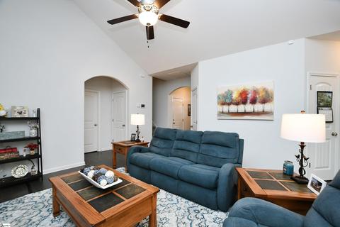 206 Spruce Creek Ct, Greer, SC 29651 photo 8