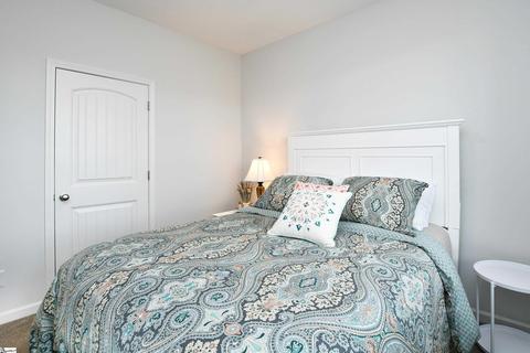 206 Spruce Creek Ct, Greer, SC 29651 photo 23