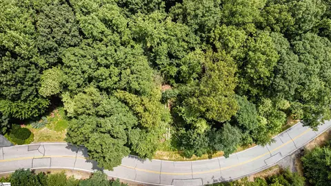 00 Lost Trail Dr, Landrum, SC 29356