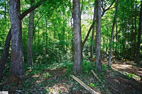 0 Summersweet Ln, Seneca, SC 29672 photo 10