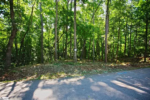 0 Summersweet Ln, Seneca, SC 29672 photo 5