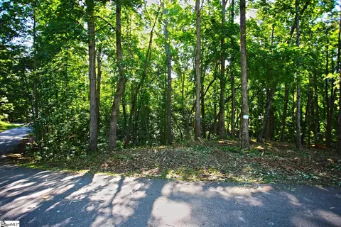0 Summersweet Ln, Seneca, SC 29672 photo 7