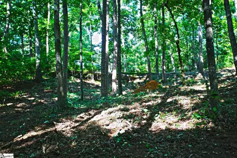 0 Summersweet Ln, Seneca, SC 29672 photo 16