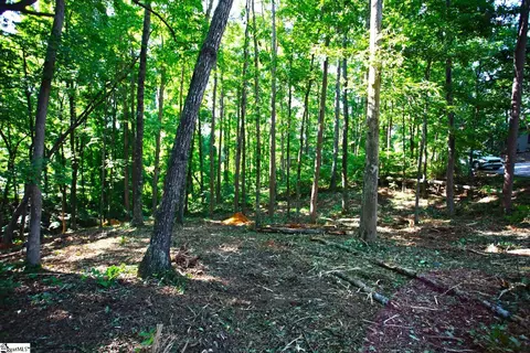 0 Summersweet Ln, Seneca, SC 29672 photo 8