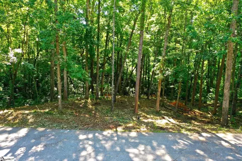 0 Summersweet Ln, Seneca, SC 29672 photo 3