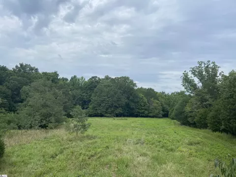 Catfish Cove Road, Waterloo, SC 29384