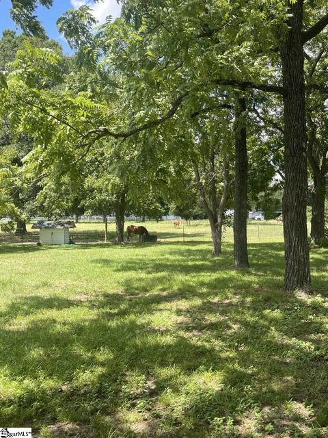 32889 Highway 76 E, Kinards, SC 29355 photo 29