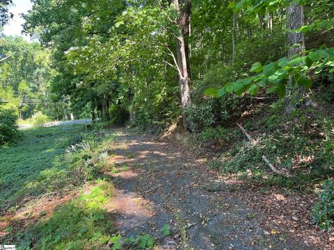 3357 Lynn Rd, Tryon, NC 28782 photo 4