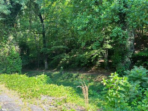 3357 Lynn Rd, Tryon, NC 28782 photo 3