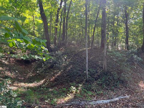 3357 Lynn Rd, Tryon, NC 28782 photo 5