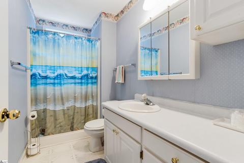 310 Herringbone Run, Easley, SC 29642 photo 13