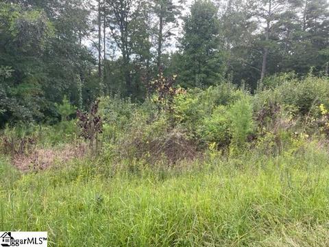 285 Cold Springs Rd, Mill Spring, NC 28756 photo 1