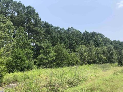 0 E Main St, Clinton, SC 29325 photo 4