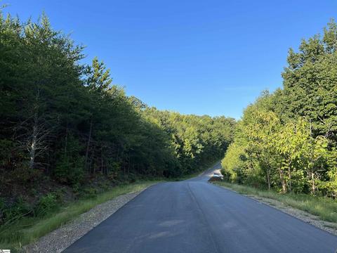 48 Packforest Rd, Taylors, SC 29687