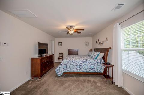 229 Creekside Way, Easley, SC 29642 photo 19