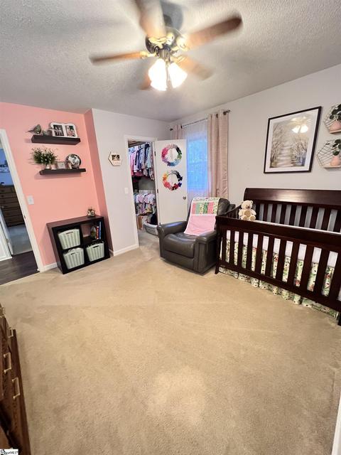 211 Pineview Dr, Pelzer, SC 29669 photo 20