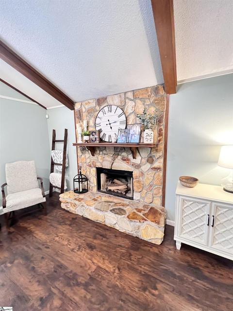 211 Pineview Dr, Pelzer, SC 29669 photo 6