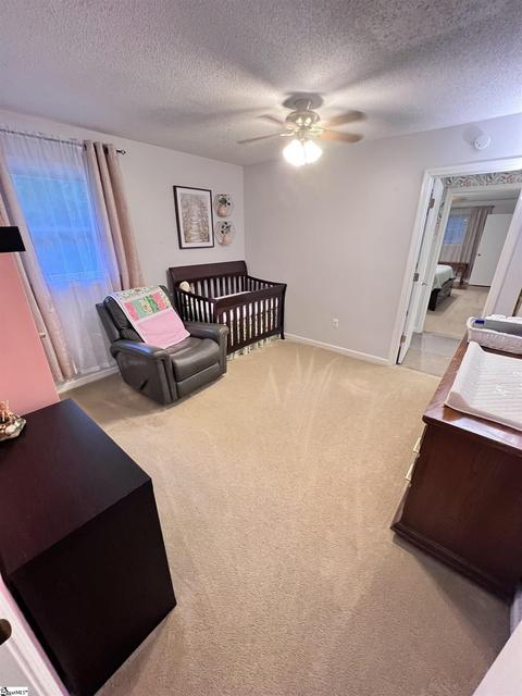 211 Pineview Dr, Pelzer, SC 29669 photo 21